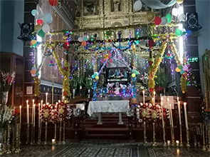 Neurology Department